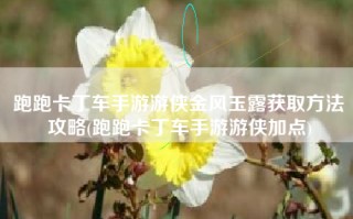 跑跑卡丁车手游游侠金风玉露获取方法攻略(跑跑卡丁车手游游侠加点)