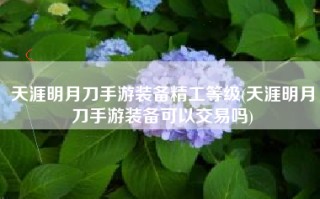天涯明月刀手游装备精工等级(天涯明月刀手游装备可以交易吗)