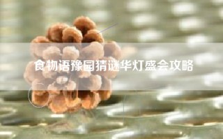 食物语豫园猜谜华灯盛会攻略