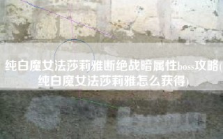 纯白魔女法莎莉雅断绝战暗属性boss攻略(纯白魔女法莎莉雅怎么获得)