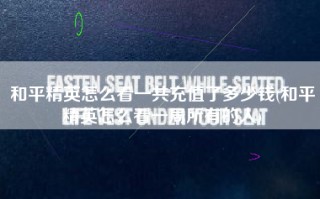 和平精英怎么看一共充值了多少钱(和平精英怎么看一局所有的人)