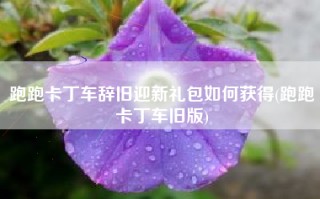 跑跑卡丁车辞旧迎新礼包如何获得(跑跑卡丁车旧版)