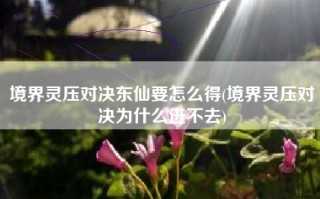 境界灵压对决东仙要怎么得(境界灵压对决为什么进不去)