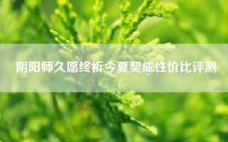 阴阳师久愿终祈今夏契成性价比评测