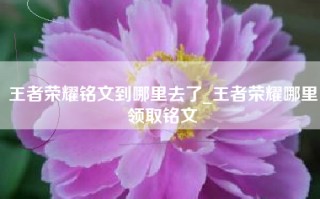 王者荣耀铭文到哪里去了_王者荣耀哪里领取铭文