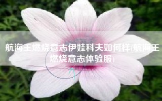航海王燃烧意志伊娃科夫如何样(航海王燃烧意志体验服)