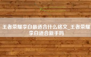 王者荣耀李白最适合什么铭文_王者荣耀李白适合新手吗