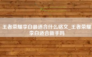 王者荣耀李白最适合什么铭文_王者荣耀李白适合新手吗