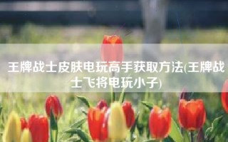 王牌战士皮肤电玩高手获取方法(王牌战士飞将电玩小子)