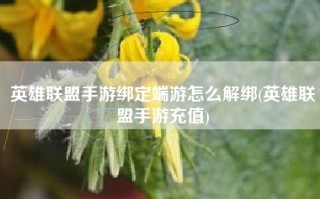 英雄联盟手游绑定端游怎么解绑(英雄联盟手游充值)