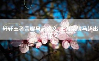 轩轩王者荣耀马超铭文_王者荣耀马超出装铭文
