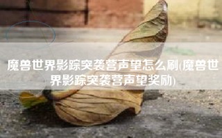 魔兽世界影踪突袭营声望怎么刷(魔兽世界影踪突袭营声望奖励)