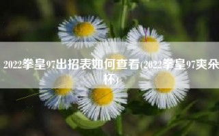 2022拳皇97出招表如何查看(2022拳皇97爽朵杯)