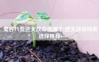 鬼谷八荒逆天改命选哪个(逆天改命词条选择推荐)