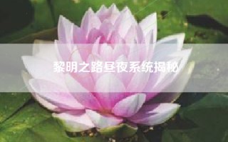 黎明之路昼夜系统揭秘