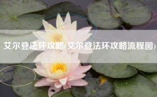 艾尔登法环攻略(艾尔登法环攻略流程图)