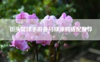 街头篮球手游姜马禄涂鸦搭配推荐