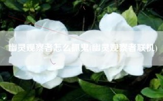 幽灵观察者怎么抓鬼(幽灵观察者联机)