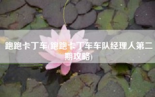 跑跑卡丁车(跑跑卡丁车车队经理人第二期攻略)