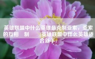 英雄联盟中什么英雄最克制亚索，亚索的互相牽制關係(英雄联盟中什么英雄适合新手)