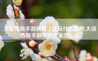 大话西游手游满级了还玩什么意思,大话西游手游平民玩家怎么玩