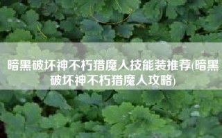 暗黑破坏神不朽猎魔人技能装推荐(暗黑破坏神不朽猎魔人攻略)