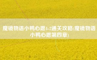 魔镜物语小鸭心愿4-2通关攻略(魔镜物语小鸭心愿第四章)