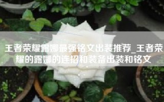 王者荣耀露娜最强铭文出装推荐_王者荣耀的露娜的连招和装备出装和铭文