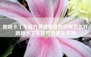 跑跑卡丁车官方竞速版亚特拉斯怎么样(跑跑卡丁车官方竞速版微博)