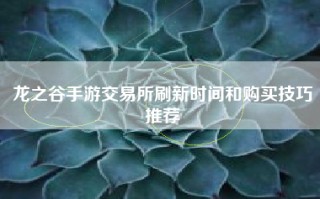 龙之谷手游交易所刷新时间和购买技巧推荐