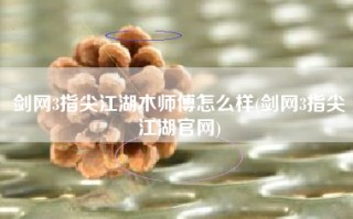 剑网3指尖江湖木师傅怎么样(剑网3指尖江湖官网)