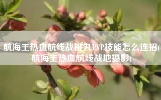 航海王热血航线战桃丸PVP技能怎么连招(航海王热血航线战地摄影)