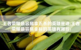 王者荣耀最容易拿五杀的英雄是谁(王者荣耀最容易拿标的英雄有哪些)