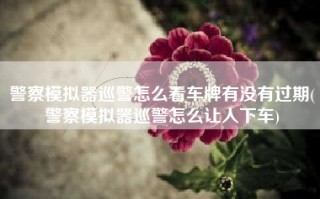 警察模拟器巡警怎么看车牌有没有过期(警察模拟器巡警怎么让人下车)