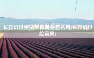 长安幻世绘法宝神禹令怎么用(长安幻世绘官网)