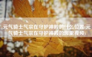元气骑士气宗在守护神殿的什么位置(元气骑士气宗在守护神殿的哪里视频)
