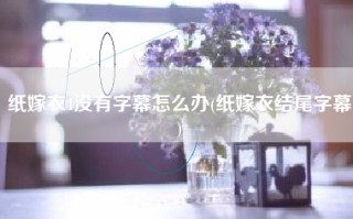 纸嫁衣4没有字幕怎么办(纸嫁衣结尾字幕)