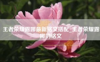 王者荣耀露娜最新铭文搭配_王者荣耀露娜的铭文