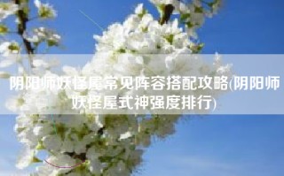 阴阳师妖怪屋常见阵容搭配攻略(阴阳师妖怪屋式神强度排行)