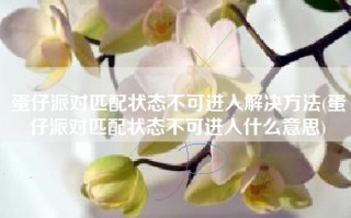 蛋仔派对匹配状态不可进入解决方法(蛋仔派对匹配状态不可进入什么意思)