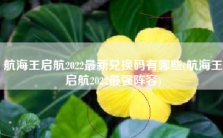航海王启航2022最新兑换码有哪些(航海王启航2022最强阵容)