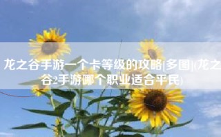 龙之谷手游一个卡等级的攻略[多图](龙之谷2手游哪个职业适合平民)