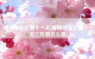 穿越寻宝记第十一关(穿越寻宝记第十一关三色旗怎么看)