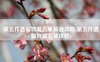 第五件遗留物第五章解谜攻略(第五件遗留物第五章攻略)