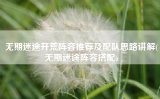 无期迷途开荒阵容推荐及配队思路讲解(无期迷途阵容搭配)
