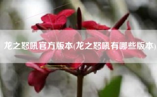 龙之怒吼官方版本(龙之怒吼有哪些版本)