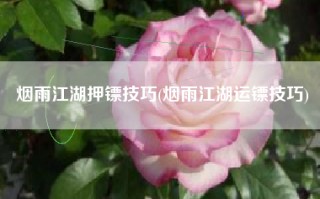 烟雨江湖押镖技巧(烟雨江湖运镖技巧)