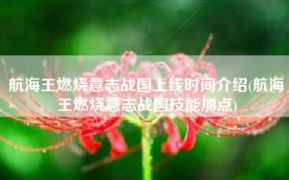 航海王燃烧意志战国上线时间介绍(航海王燃烧意志战国技能加点)