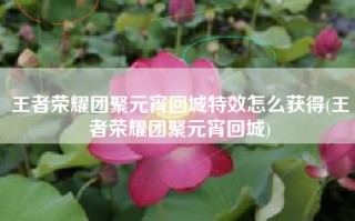 王者荣耀团聚元宵回城特效怎么获得(王者荣耀团聚元宵回城)