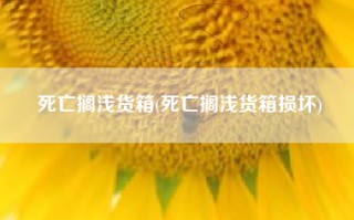 死亡搁浅货箱(死亡搁浅货箱损坏)
